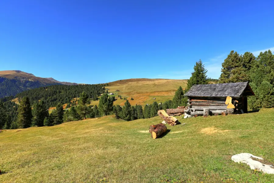 Le malghe dell’Alto Adige: come visitarle, cosa mangiare e i percorsi migliori per raggiungerle a piedi
