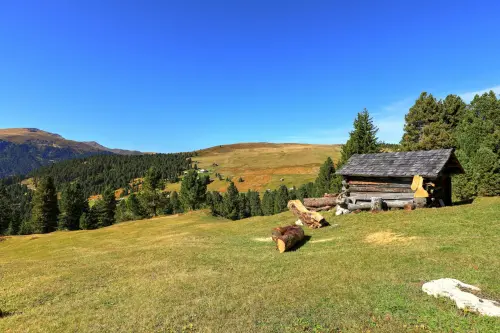 Le malghe dell’Alto Adige: come visitarle, cosa mangiare e i percorsi migliori per raggiungerle a piedi