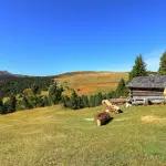 Le malghe dell’Alto Adige: come visitarle, cosa mangiare e i percorsi migliori per raggiungerle a piedi