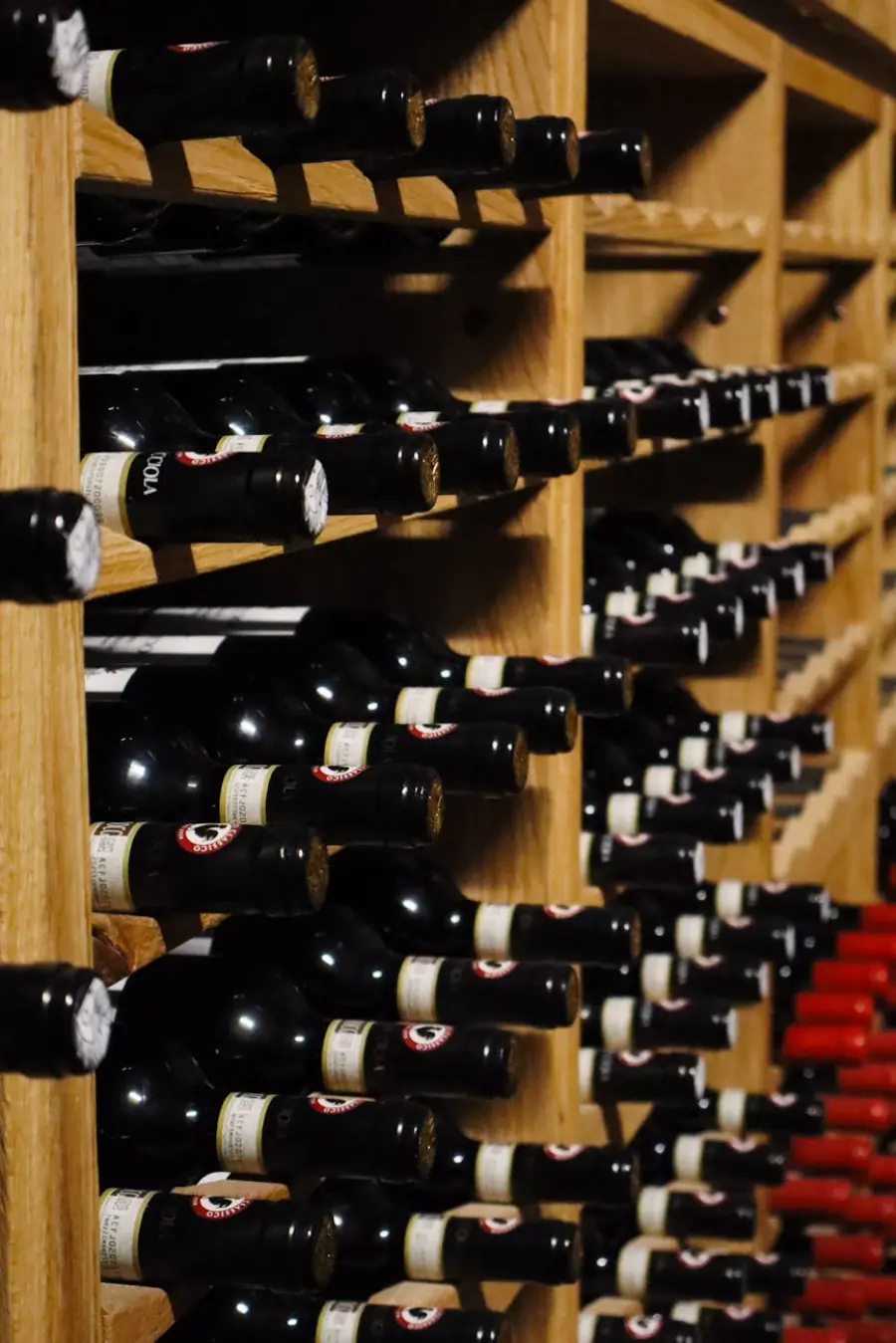 La Strada del Vino dell’Alto Adige: guida ai 70 km tra vigneti, cantine e borghi da Nalles a Salorno