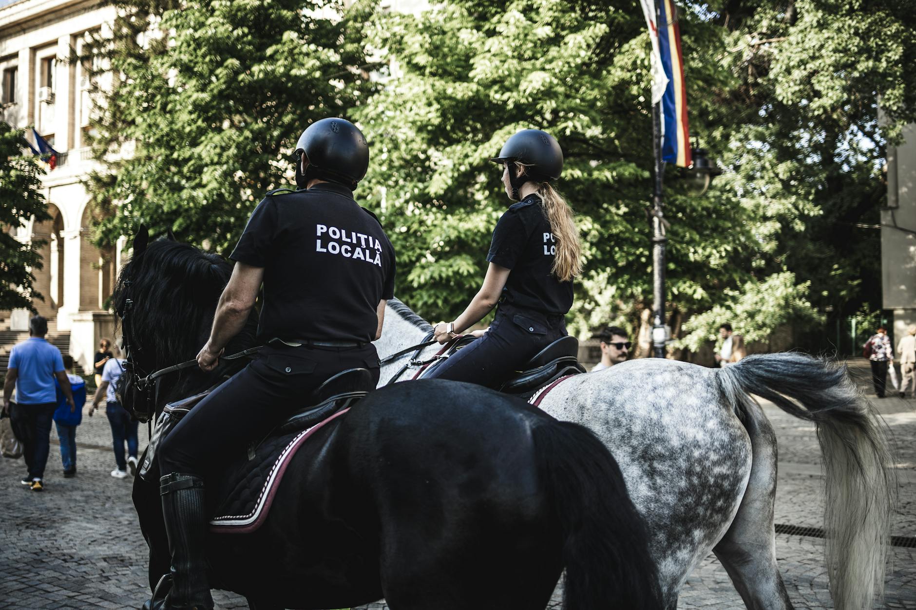Polizia di Stato, 40 posti per bilingui a Bolzano