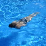 Lido di Bolzano, parte la campagna abbonamenti per la stagione 2026