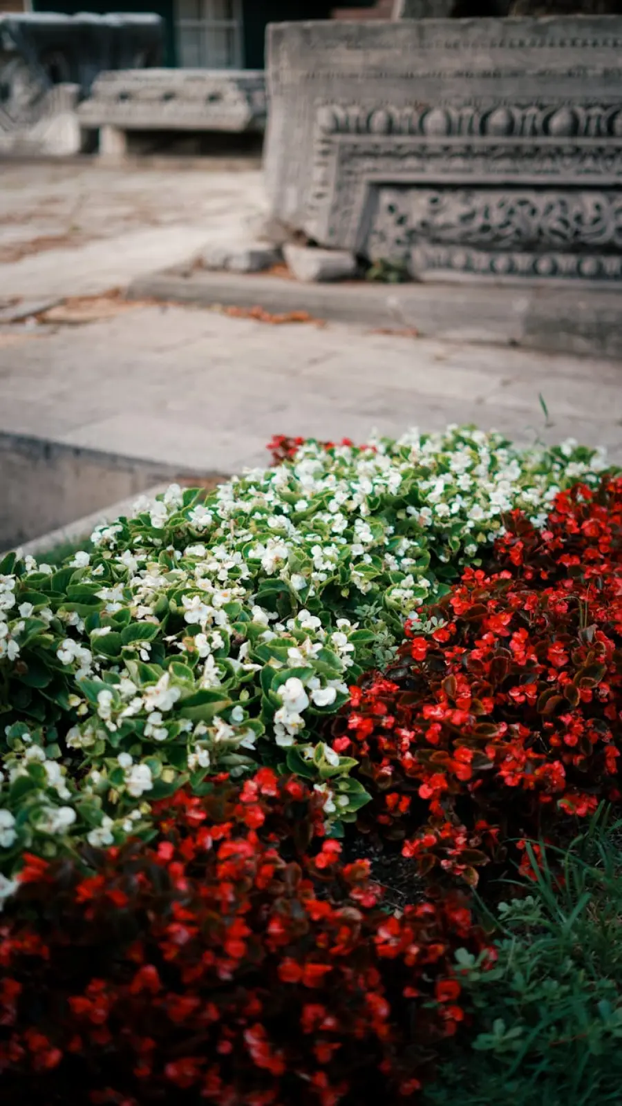 Piazza Walther cambia volto: fioriere al posto delle barriere